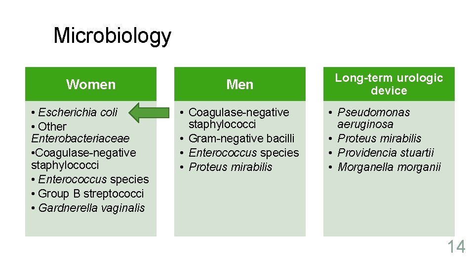 Microbiology Women Men • Escherichia coli • Other Enterobacteriaceae • Coagulase-negative staphylococci • Enterococcus