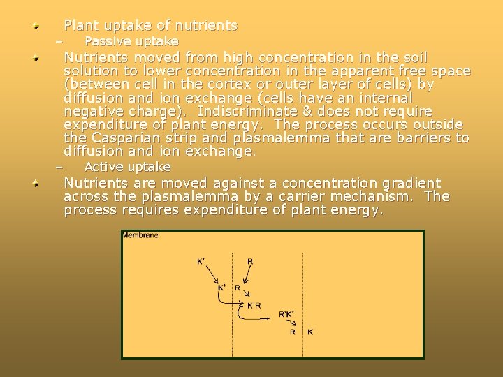 Plant uptake of nutrients – Passive uptake – Active uptake Nutrients moved from high Plant uptake of nutrients – Passive uptake – Active uptake Nutrients moved from high