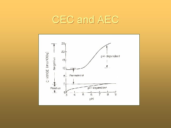 CEC and AEC CEC and AEC