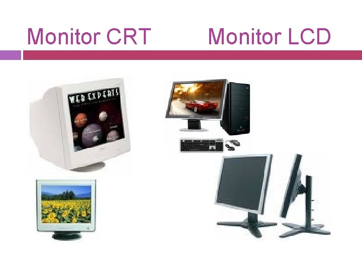 Monitor CRT Monitor LCD 