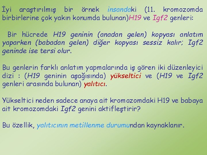 İyi araştırılmış bir örnek insandaki (11. kromozomda birbirlerine çok yakın konumda bulunan)H 19 ve