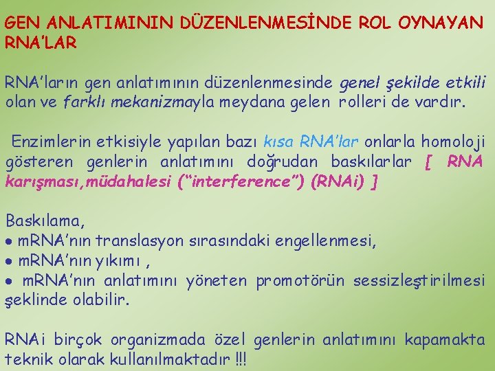 GEN ANLATIMININ DÜZENLENMESİNDE ROL OYNAYAN RNA’LAR RNA’ların gen anlatımının düzenlenmesinde genel şekilde etkili olan