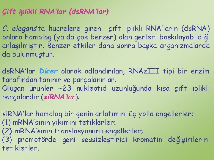 Çift iplikli RNA’lar (ds. RNA’lar) C. elegans’ta hücrelere giren çift iplikli RNA’ların (ds. RNA)