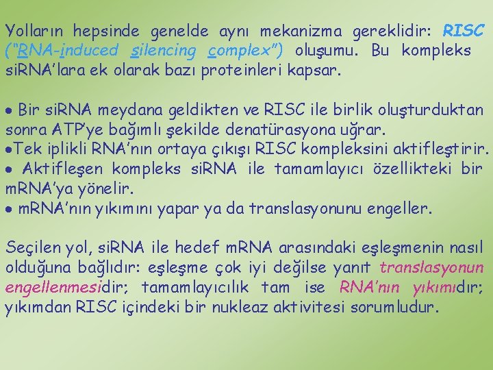 Yolların hepsinde genelde aynı mekanizma gereklidir: RISC (“RNA-induced silencing complex”) oluşumu. Bu kompleks si.