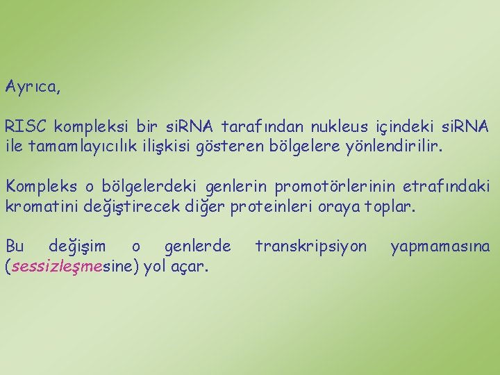 Ayrıca, RISC kompleksi bir si. RNA tarafından nukleus içindeki si. RNA ile tamamlayıcılık ilişkisi