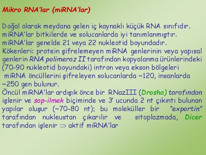 Mikro RNA’lar (mi. RNA’lar) Doğal olarak meydana gelen iç kaynaklı küçük RNA sınıfıdır. mi.