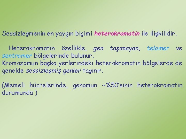 Sessizleşmenin en yaygın biçimi heterokromatin ile ilişkilidir. Heterokromatin özellikle, gen taşımayan, telomer ve sentromer