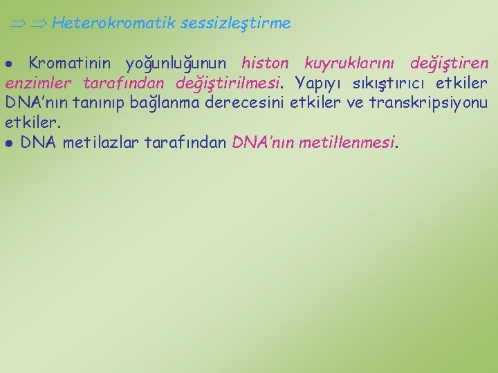  Heterokromatik sessizleştirme Kromatinin yoğunluğunun histon kuyruklarını değiştiren enzimler tarafından değiştirilmesi. Yapıyı sıkıştırıcı etkiler