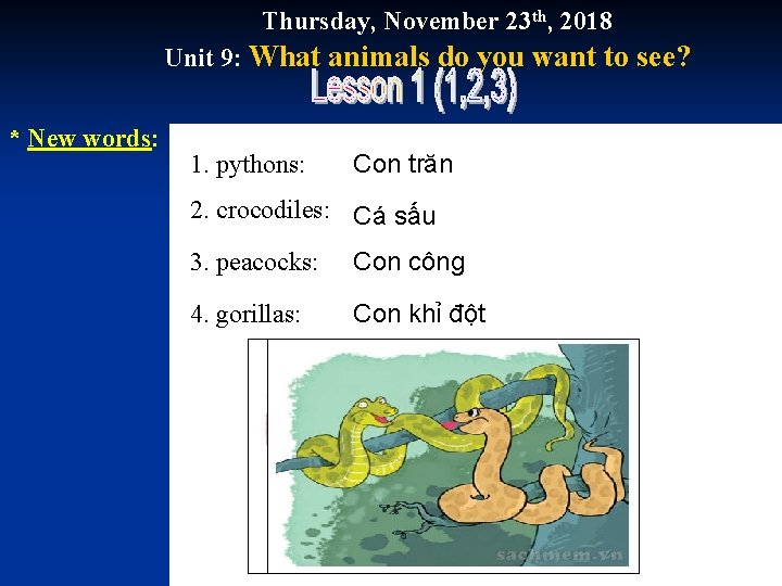 Thursday, November 23 th, 2018 Unit 9: What animals do you want to see?