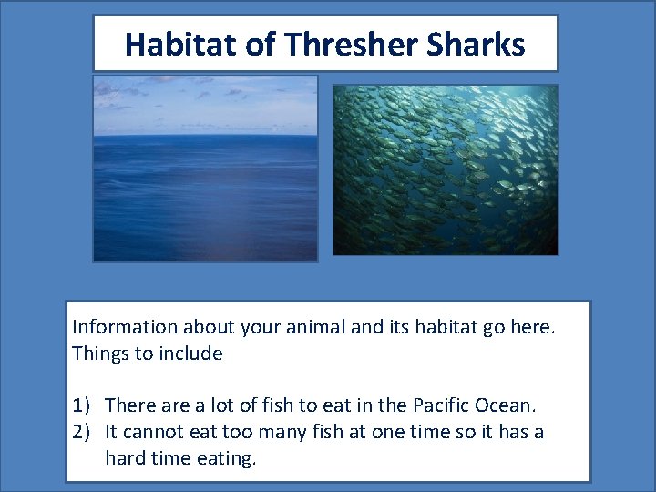 Habitat of Thresher Sharks Map showing where your animal lives Picture showing your animal