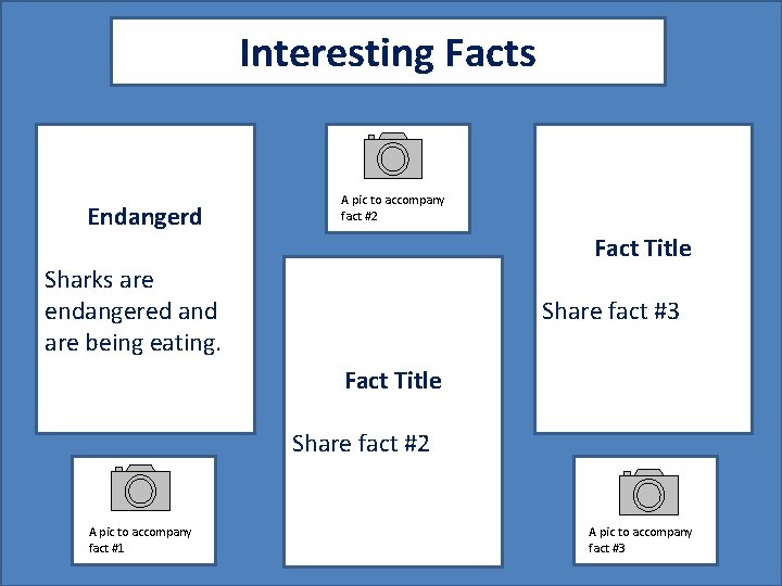 Interesting Facts Endangerd A pic to accompany fact #2 Fact Title Sharks are endangered