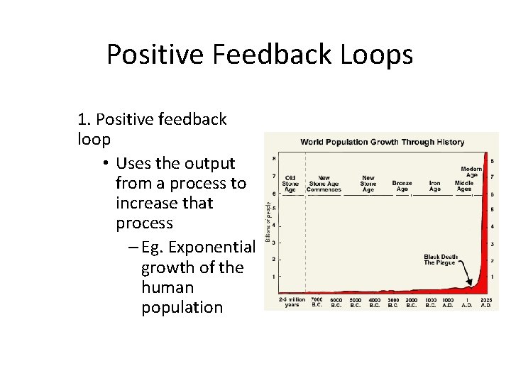 Positive Feedback Loops 1. Positive feedback loop • Uses the output from a process
