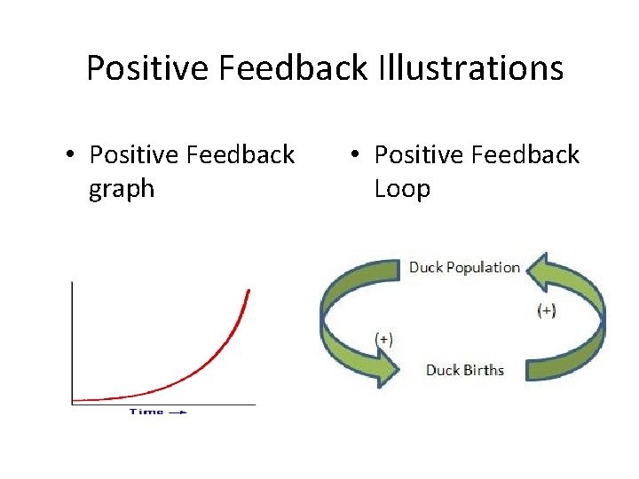 Positive Feedback Illustrations • Positive Feedback graph • Positive Feedback Loop 