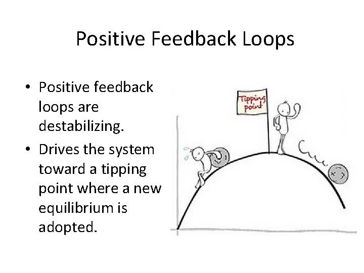 Positive Feedback Loops • Positive feedback loops are destabilizing. • Drives the system toward