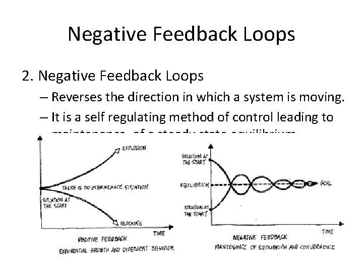 Negative Feedback Loops 2. Negative Feedback Loops – Reverses the direction in which a