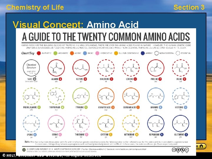 Chemistry of Life Visual Concept: Amino Acid Section 3 