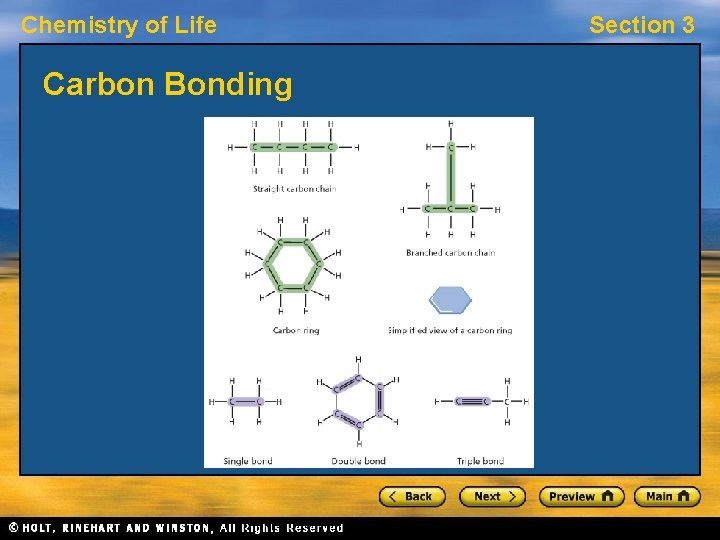 Chemistry of Life Carbon Bonding Section 3 