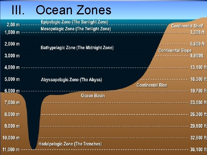 III. Ocean Zones 