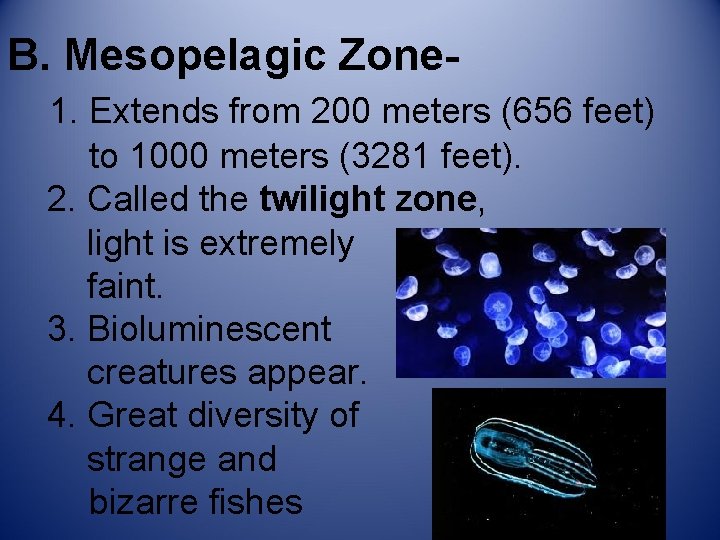 B. Mesopelagic Zone 1. Extends from 200 meters (656 feet) to 1000 meters (3281