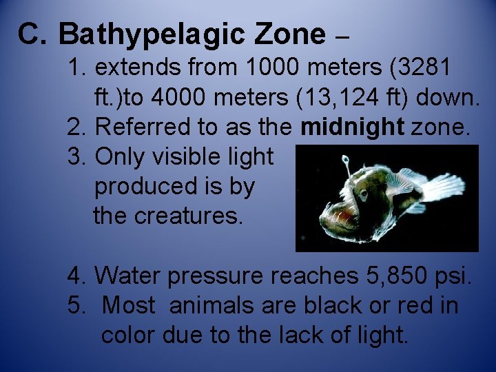 C. Bathypelagic Zone – 1. extends from 1000 meters (3281 ft. )to 4000 meters