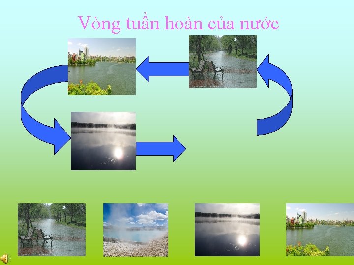 Vòng tuần hoàn của nước 