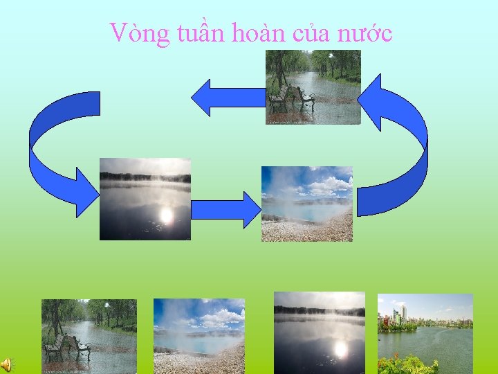 Vòng tuần hoàn của nước 