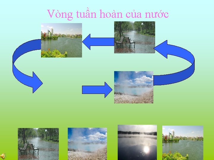 Vòng tuần hoàn của nước 