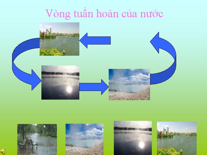 Vòng tuần hoàn của nước 