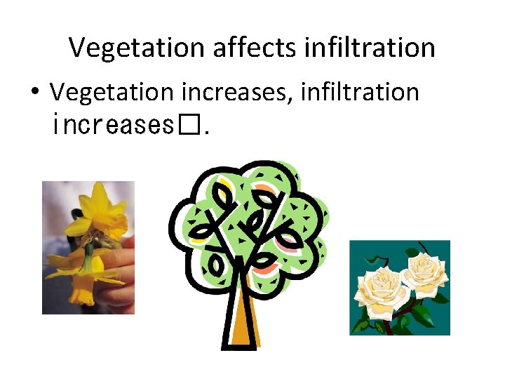 Vegetation affects infiltration • Vegetation increases, infiltration increases�. 