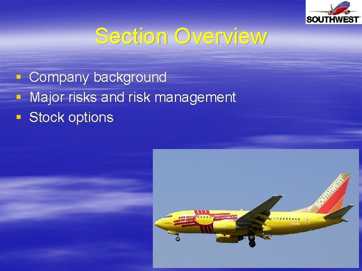 Section Overview § § § Company background Major risks and risk management Stock options