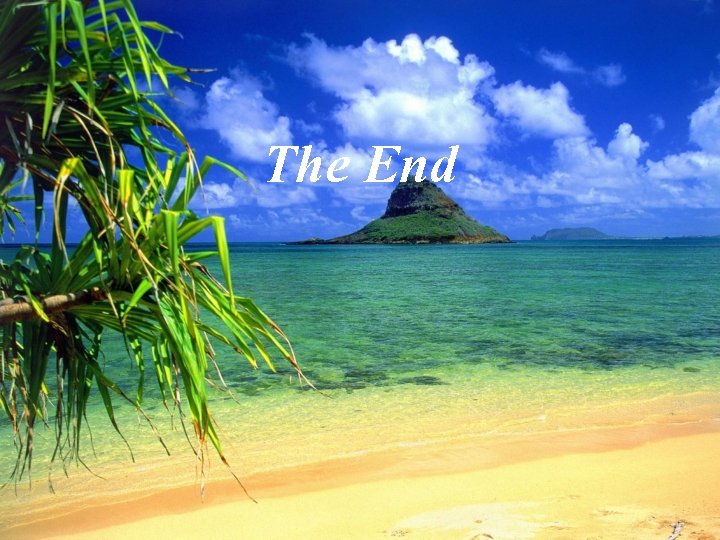 The End 