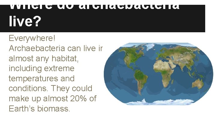 Where do archaebacteria live? Everywhere! Archaebacteria can live in almost any habitat, including extreme