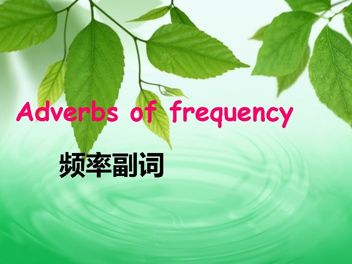 Adverbs of frequency 频率副词 