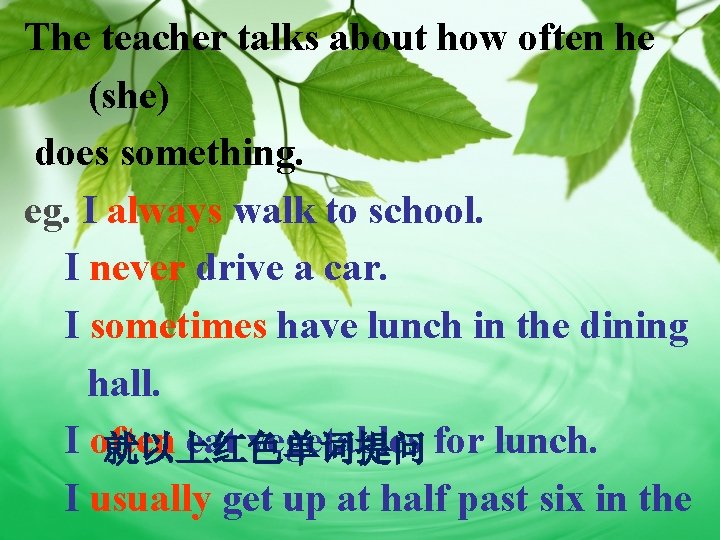 The teacher talks about how often he (she) does something. eg. I always walk