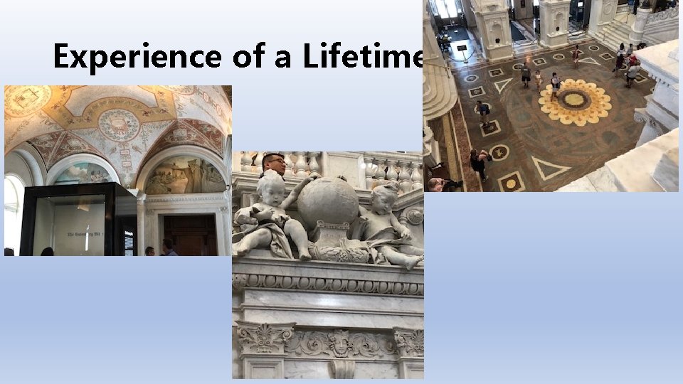 Experience of a Lifetime 