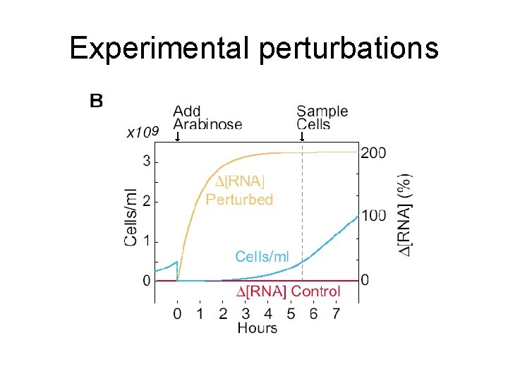 Experimental perturbations 