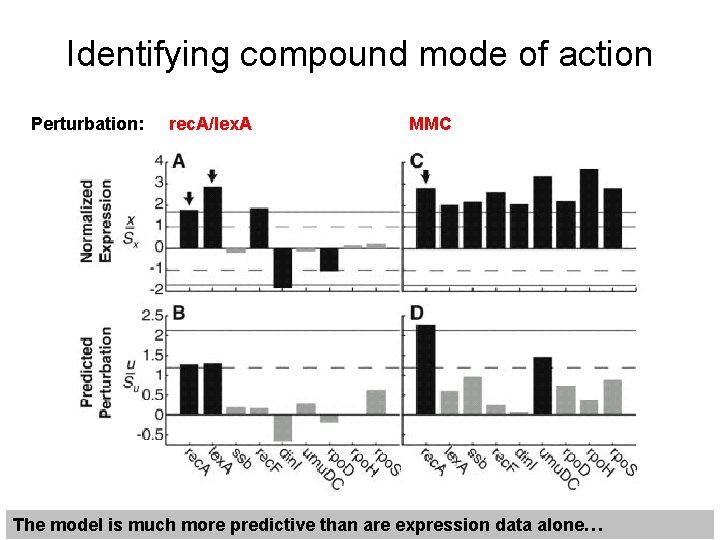 Identifying compound mode of action Perturbation: rec. A/lex. A MMC The model is much