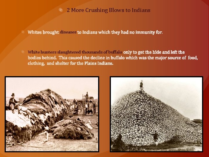 2 More Crushing Blows to Indians diseases White hunters slaughtered thousands of buffalo 