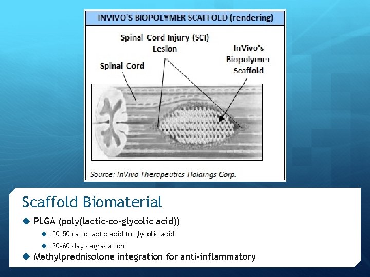 Scaffold Biomaterial u PLGA (poly(lactic-co-glycolic acid)) u 50: 50 ratio lactic acid to glycolic Scaffold Biomaterial u PLGA (poly(lactic-co-glycolic acid)) u 50: 50 ratio lactic acid to glycolic