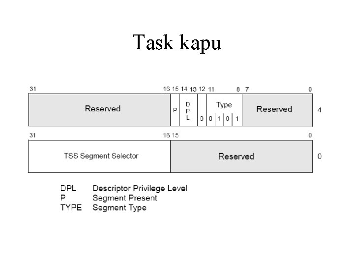 Task kapu 