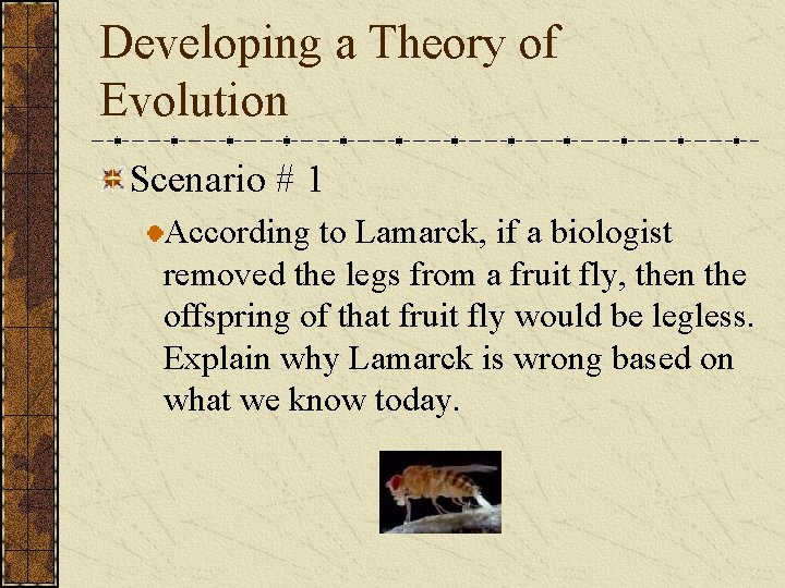 Developing a Theory of Evolution Scenario # 1 According to Lamarck, if a biologist