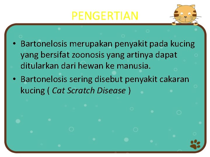 PENGERTIAN • Bartonelosis merupakan penyakit pada kucing yang bersifat zoonosis yang artinya dapat ditularkan