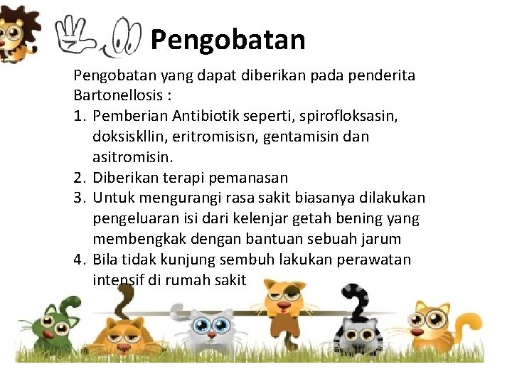 Pengobatan yang dapat diberikan pada penderita Bartonellosis : 1. Pemberian Antibiotik seperti, spirofloksasin, doksiskllin,