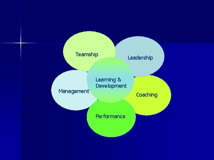 Teamship Management Leadership Learning & Development Coaching Performance 