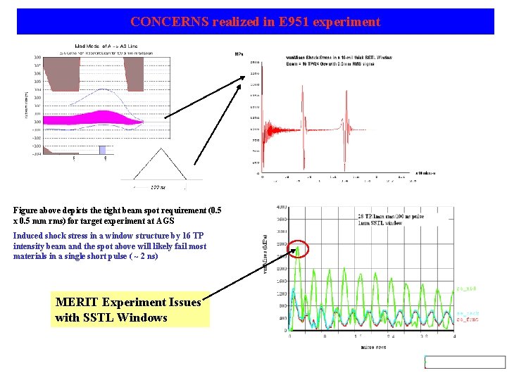 CONCERNS realized in E 951 experiment Figure above depicts the tight beam spot requirement
