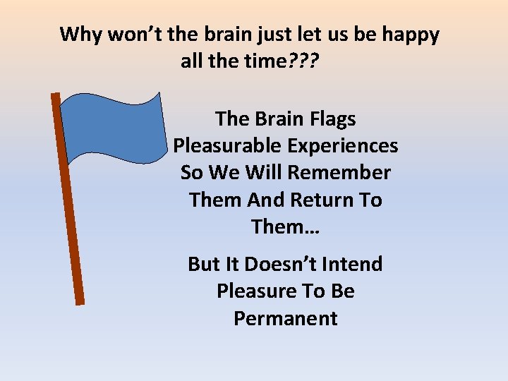 Why won’t the brain just let us be happy all the time? ? ?