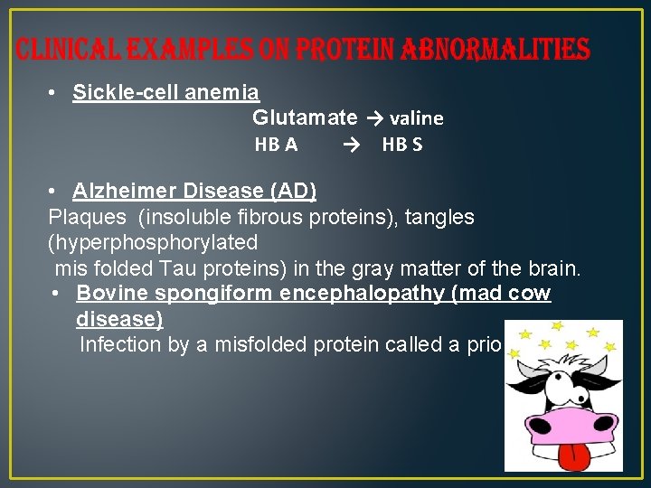  • Sickle-cell anemia Glutamate → valine HB A → HB S • Alzheimer