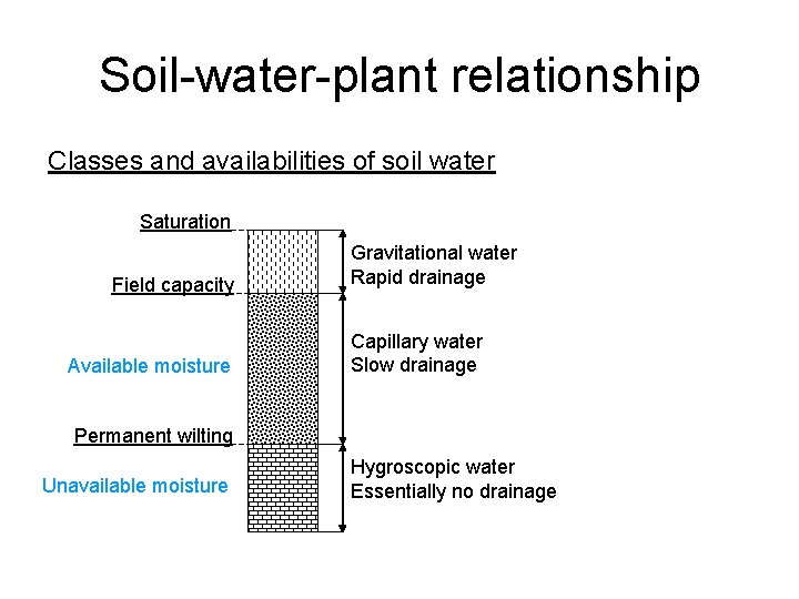 Soil-water-plant relationship Classes and availabilities of soil water Saturation Field capacity Available moisture Gravitational