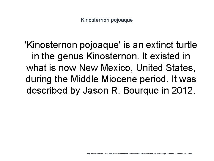 Kinosternon pojoaque 1 'Kinosternon pojoaque' is an extinct turtle in the genus Kinosternon. It