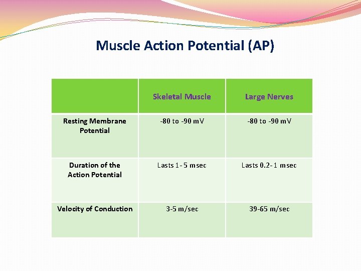 Muscle Action Potential (AP) Skeletal Muscle Large Nerves Resting Membrane Potential -80 to -90